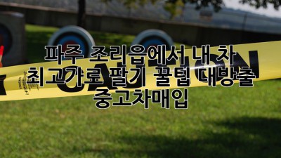 🚗💨 파주 조리읍에서 내 차 최고가로 팔기?! 꿀팁 대방출! #중고차매입
