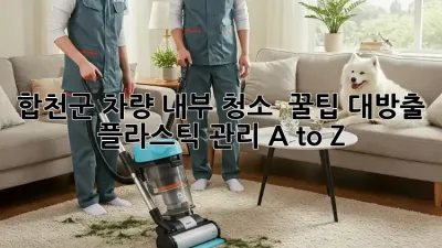 합천군 차량 내부 청소 ✨ 꿀팁 대방출! 플라스틱 관리 A to Z